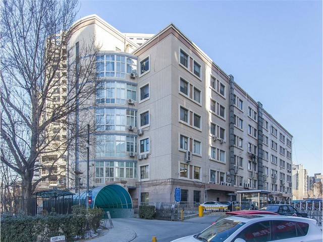 西秀区互联网抖音推广平台