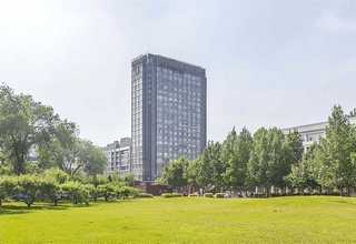 广东网格木托盘供应商